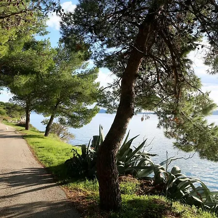Apartmán Wolverine Zadar